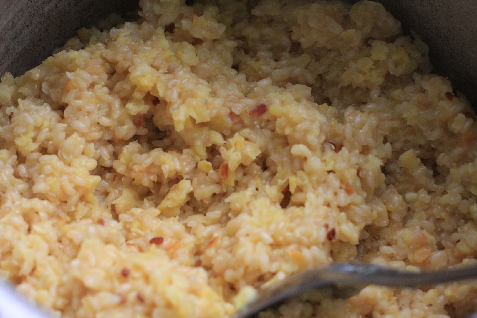 Sweet Pongal with Sweet Brown Rice Sweet Brown Rice Pudding with jaggery, dried fruits and